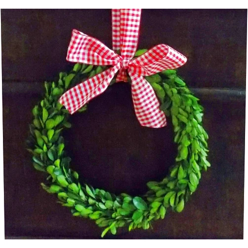 Wreath and Vine, LLC Small Mini Preserved Boxwood Christmas Wreath with Red and White Gingham Check Ribbon for Holiday Home Decor, Farmhouse Christmas Decorations, Gift, Handmade, Green, 6 Inch