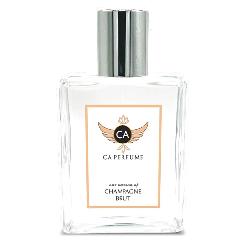 CA Perfume Impression of Champagne Brut For Women Fragrance Spray Bottle 3.4 Fl Oz/100ml