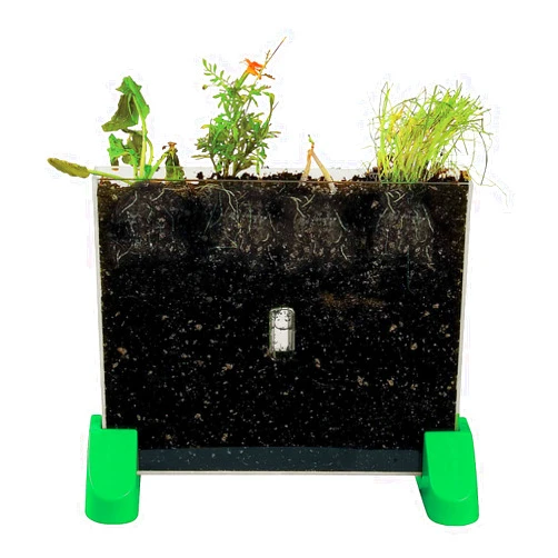 Fun Express Watch It Grow Plant Viewer - 1 Piece - Educational and Learning Activities for Kids
