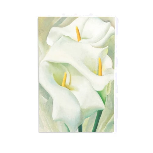 FENGCHENG Calla Lilies 1924 by Georgia Okeeffe Painting Wall Art Room Aesthetic Canvas Painting Bedroom Posters Living Room Walls Decorative 16x24inch(40x60cm)