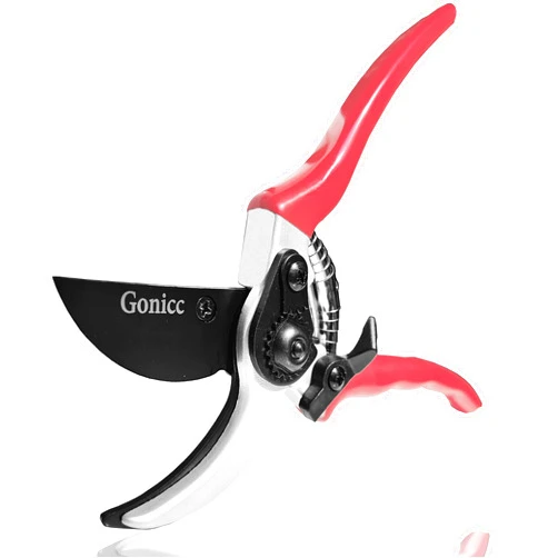gonicc 8