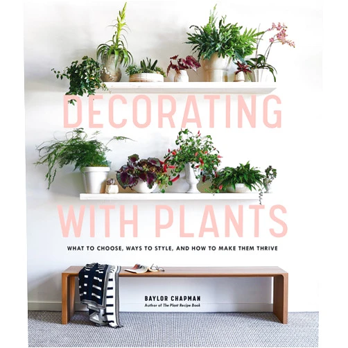 Baylor Chapman Decorating with Plants: What to Choose, Ways to Style, and How to Make Them Thrive