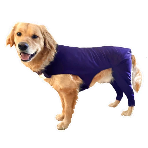 Buckwheat Dog Dog Sleeve for Rear Legs Anti Lick, Dog Surgery Recovery Suit, Dog Pants to Prevent Licking, Dog Cone Alternative for Hind Legs, Medium, Blue