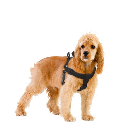 KRUZ PET Kruz Original Heavy-Duty No Pull Dog Harness - Ultra Comfort, Lifetime Durability, Pet Harness for Small and Medium Dog Breeds (Black, Large)