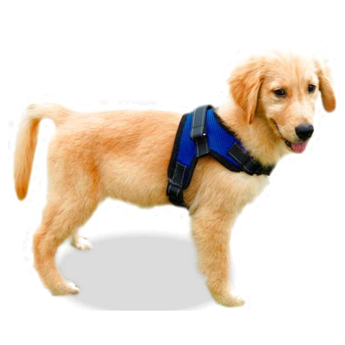 Copatchy No Pull Reflective Adjustable Dog Harness With Handle- Comfortable Soft All Weather Mesh, Easy On Puppy Harness For Small Medium and Large Dogs (Blue) Medium