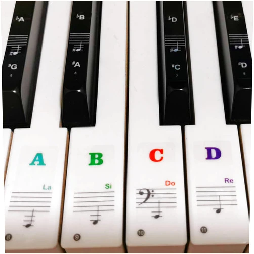 Yalloy Piano Stickers for Keys, Yalloy Colorful Piano Keyboard Stickers for 88 61 54 49 Full Set Stickers Removable and Transparent, Leaves No Residue, Ideal for Piano Beginners Learning Piano or Keyboard
