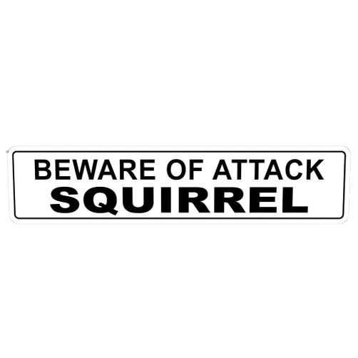 Cortan360 Beware of Attack Squirrel 8