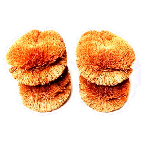 Ediri Pack of 4 Tawashi Vegetable Brushes,Coconut Fiber Natural,Veggies and Household use Cleaning Brushes with Wire Hanging Loop,Brown Color