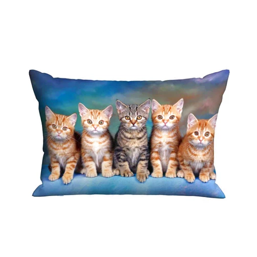 Mugod Cushion Cover Cute Kitten Cat,Pillow Case for Bed Couch Sofa Office Decor 20x30 Inches