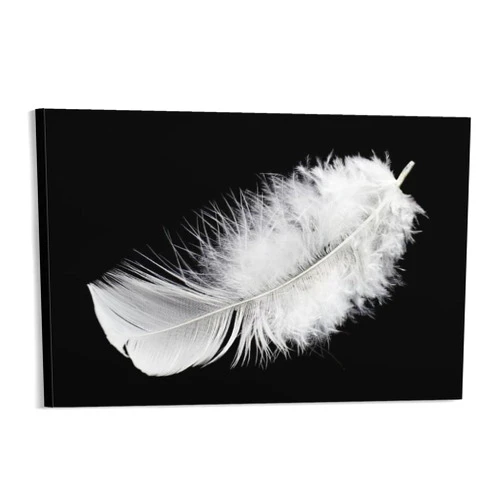 Generic Art Poster Falling Feathers Black And White Minimalistic Printmaking Home Decoration Painting Bedroom Kitchen Art Canvas Decorative Art Posters And Aesthetic Wall Art16x24inch(40x60cm)