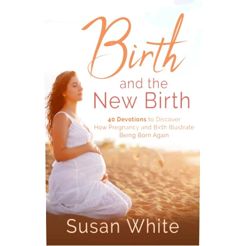 Susan White Birth and the New Birth: 40 Devotions to Discover How Pregnancy and Birth Illustrate Being Born Again