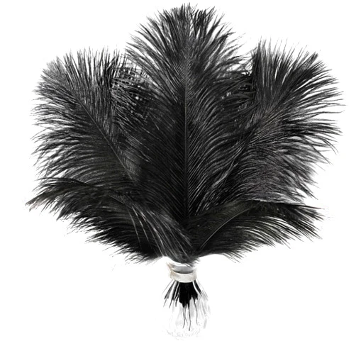 Soarer Black Large Ostrich Feathers - 15 pcs 12-14inch Craft Feathers for Gatsby Wedding Party Centerpieces,Flower Arrangement and Home Decoration.(Black)