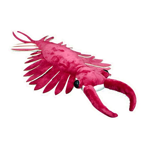 FRANKIEZHOU Simulation Anomalocaris Arthropod Plush,Lifelike 21