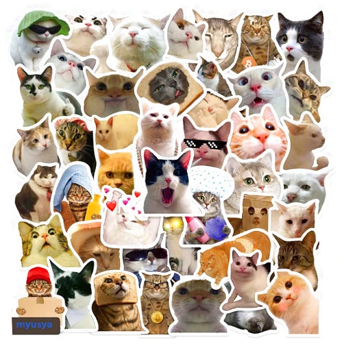 Myusya 50 Pcs Cat Stickers,Funny Cat Meme,Waterproof Vinyl Stickers for Laptop Phone Guitar Water Bottles Luggage