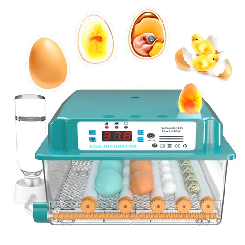 CHOiES record your inspired fashion Choies 16 Egg Incubator,Incubators for Hatching Eggs,Automatic Egg Turning,Humidity Control,Automatic Water Adding,Incubator with Egg Candler,Quail Eggs Incubators for Hatching Chicken,Duck,Goose