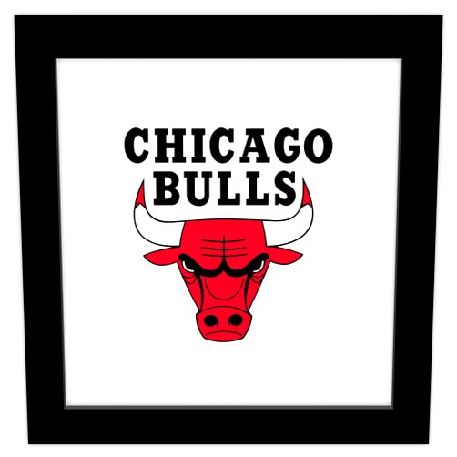 Trends International Gallery Pops NBA Chicago Bulls - Global Logo Wall Art Wall Poster, 12