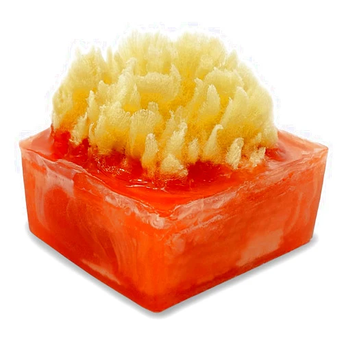 Primal Elements Island Oasis SpongeBar Soap (Pack of 2)
