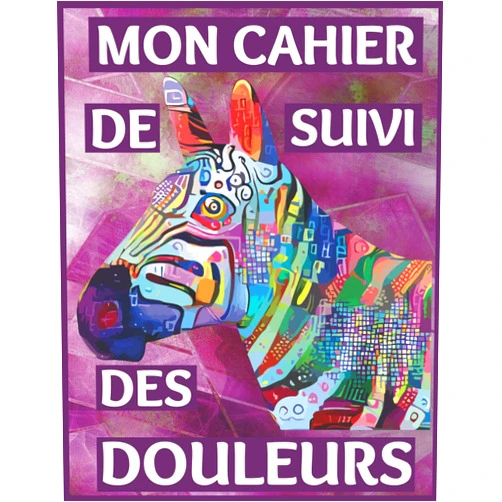 French Edition by medi cal (Author) Mon cahier de suivi des douleurs: Carnet de suivi de douleurs,l’évaluation de la douleur,Suivi les symptômes de la douleur,Carnet De Santé pour maladie chronique,100 pages (French Edition)