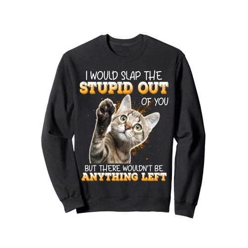 I Would Slap The Stupid Out Of You But There Wouldn't Be Sweatshirt