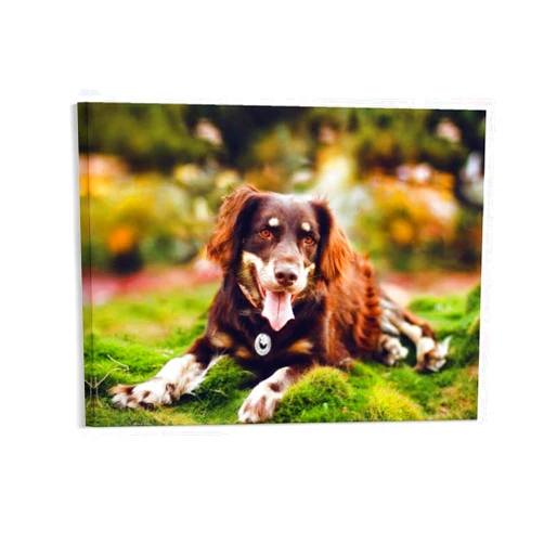 Custbkes Canvas Prints with Your Photos for Framed Canvas Wall Art With Bedroom, Living Room, Wedding Baby Pet Family Picture (Frame) (1