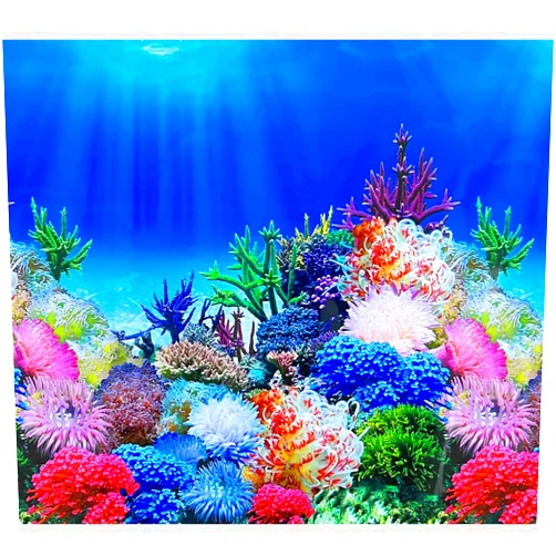 XCNO Fish Backgrounds Paper Double Sides Undersea Aquarium Background Poster Colorful Sea Anemone Fish Tank Background Sticker Decorations 16