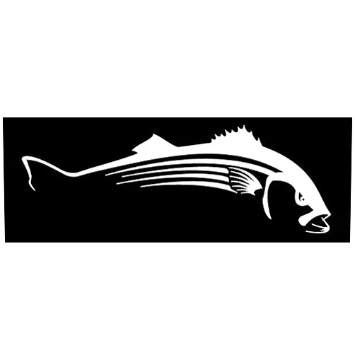 Steelfin Striper/Striped Bass/Rockfish Decal Sticker