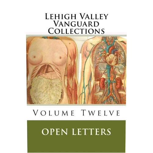 Matt Wolf,Yodi Vaden,Molyneux Thovaerin,Cleveland Wall,Damian Rucci,Kendall A. Bell,Éva Szabó,Julie Corredato,Antaneyah Johnson,Shannen Polk Lehigh Valley Vanguard Collections Volume TWELVE: Open Letters