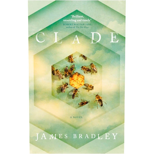 James Bradley Clade