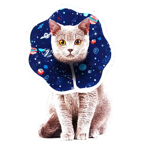 Johoxton Cat Cone, Cat Recovery Collar After Surgery Cat Cone Collar Cat Cones to Stop Licking Cat Donut Collar E Collar for Cats Puppy Dog (M, Fiber blue)