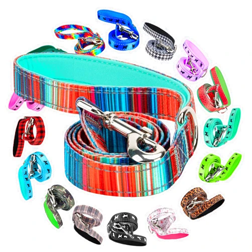 EcoBark Dog Leash - Soft & Reflective Comfort Leash with Padded Handle - Strong Durable Heavy Duty - Training and Pulling for Small, Medium or Large Dogs (Multicolor Stripe)