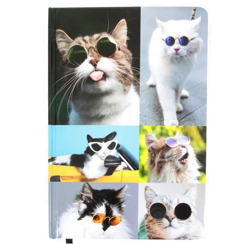 Kathy & Jiggs: Sassy Cat A5 Lined Journal 160 Pages, 5.8 X 8.4 Hardcover Notebook, College Ruled: Cute Aesthetic Gifts for Cat Dads, Mom, Kids, Animal Lovers, Men, Women, Note Book, Diary, Journaling
