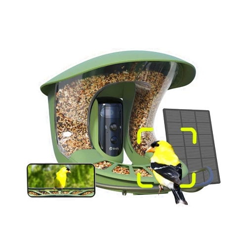 Birdfy 2 Smart Bird Feeder with Camera, Dual-Lens, Solar-Powered, Wireless Birdwatching, Permanent AI Identify 6000+ Bird Species & Motion Detection, Gift Present