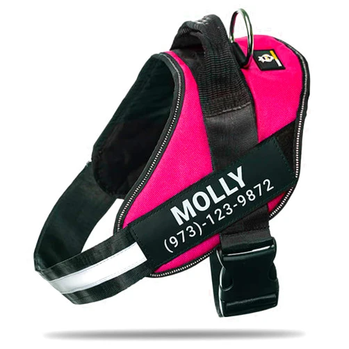 Doggykingdom Personalized No-Pull Dog Harness with Name Patch, Padded, Adjustable and Reflective Service Dog Vest, Easy On Dog Harnesses for Medium Large Small Sized Dog Rose Red, XS