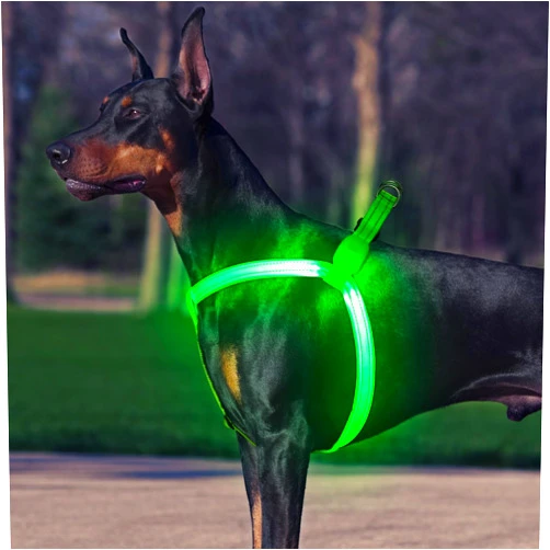 Bpawser Light Up Dog Harness LED Dog Harness USB Rechargeable Light Dog Harness for Large Medium Small Dogs (Green, S)