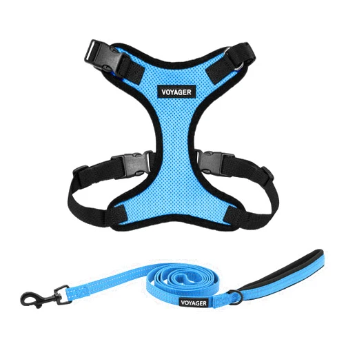 Best Pet Supplies Voyager Step-in Lock Dog Harness w Reflective Dog Leash Combo Set with Neoprene Handle 5ft - Supports Small, Medium and Large Breed Puppies/Cats by Best Pet Supplies - Baby Blue/Black Trim, S