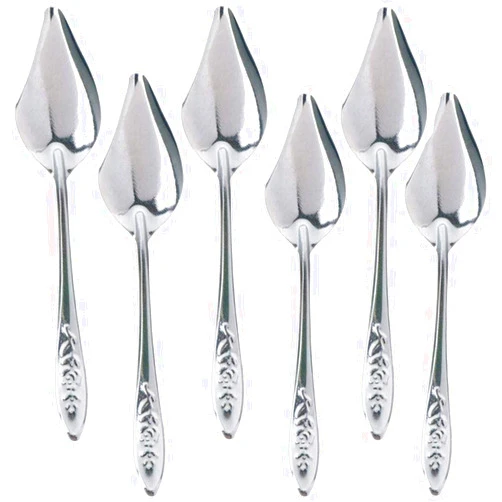Tianyamingyue 6 Pcs Bird Feeding Spoon Stainless Steel Parrot Milk Spoon for Pet Birds
