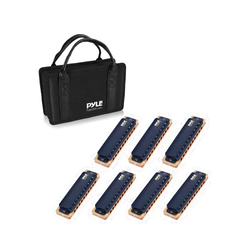 Pyle Professional Brass Metal Covered 10 Hole 7 Piece Diatonic Harmonica Kit - Blues Harp Set Includes Storage Case and Polishing Cloth - Key of C -Great for Pro, Beginner Lessons or Band - PHARM48ST