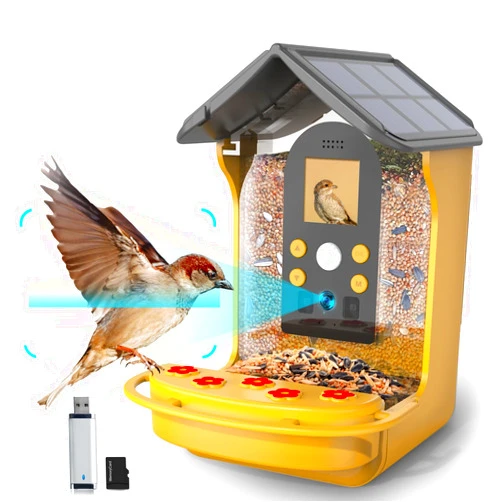 QUOKJHGP Bird Feeder with Camera Solar Powered, 1080P HD Smart Bird Feeder Camera Auto Capture Bird Videos & Motion Detection, Color Night Vision Video Bird Feeder, Card Reader and 32G Card