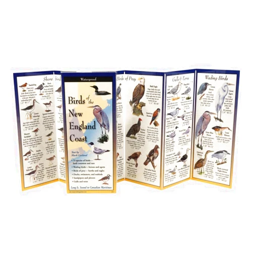 Ernest Simmons Birds of the New England Coast: Folding Guide (Foldingguides)