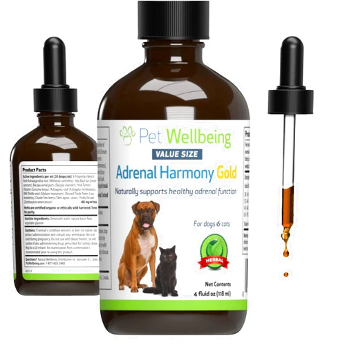 Pet Wellbeing Adrenal Harmony Gold - Supports Cortisol Balance, Adrenal Gland Function, Healthy Skin & Weight, Ashwagandha - Veterinarian-Formulated Herbal Supplement 4 oz (118 ml)