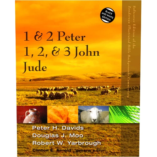By Peter H. Davids (Author), Douglas J. Moo (Author), Robert Yarbrough (Author), Clinton E. Arnold (Editor) & 1 more 1 and 2 Peter, Jude, 1, 2, and 3 John (Zondervan Illustrated Bible Backgrounds Commentary)