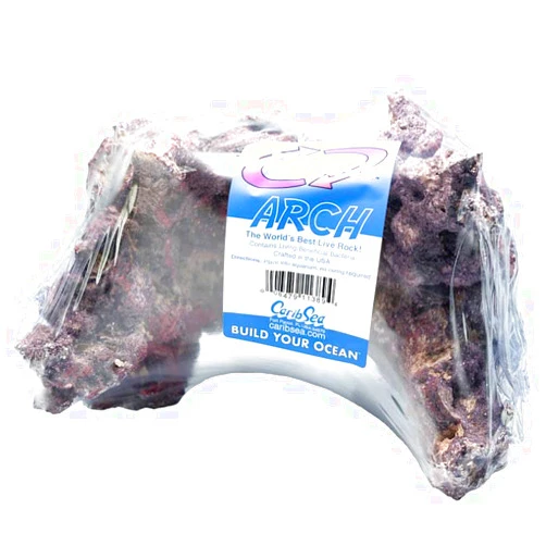 Carib Sea Life Rock Arch Medium