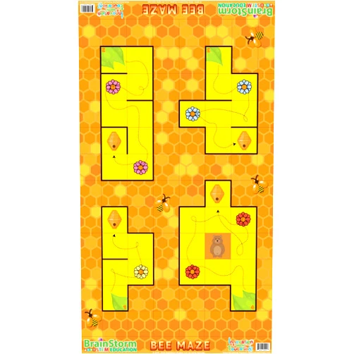 BrainStorm STEM Education Robotics Activity Mat: Bee Maze