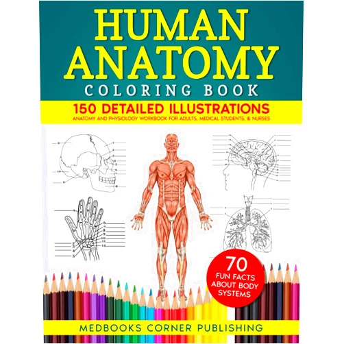 By MedBooks Corner Publishing (Author) Human Anatomy Coloring Book: 150 Detailed Illustrations & 70 Fascinating Facts in an Anatomy and Physiology Workbook for Adults, Medical Students, & Nurses Focused on Advanced Body Systems Learning