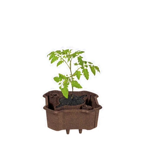 Gardener's Supply Company ECO Deluxe Tomato Halos | Self Watering Planter with 3 Quart Water Reservoir | Promotes Healthy Root System and Growth (Set of 2)