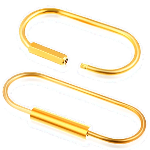WILLBOND Brass Key Ring Gold Screw Lock Clip Key Ring Chain Durable Simple Brass Keychain Holder