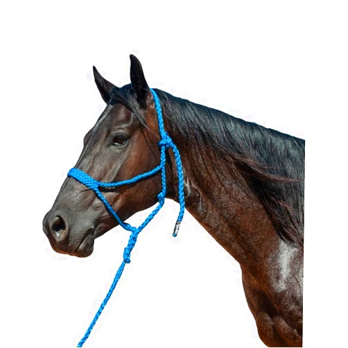 Cashel Flat Braid Halter and Leadrope