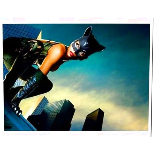 Halle Berry Catwoman 8x10