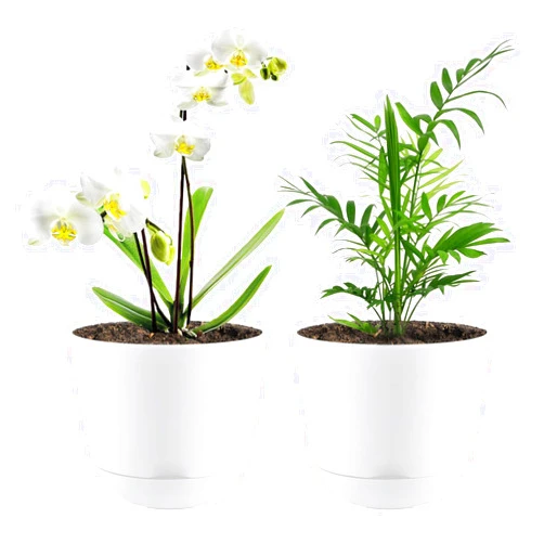 Quarut Plant Pots with Drainage Holes and Saucer,