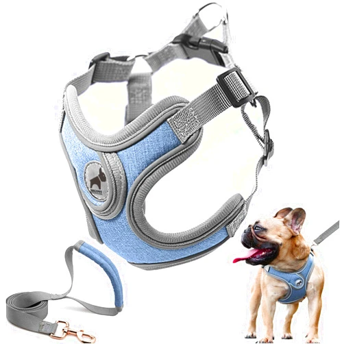 SAEGYPET Dog Harness with Leash Set, No Pull Adjustable Step in Dog Collars Harness with Breathable Padded Vest Harness for Small Medium Large Dogs Training and Running(M, Blue)